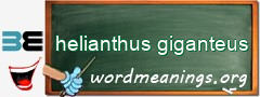 WordMeaning blackboard for helianthus giganteus